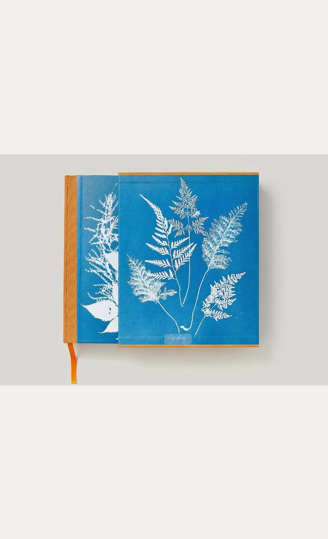 Anna Atkins - Cyanotypes - New Mags