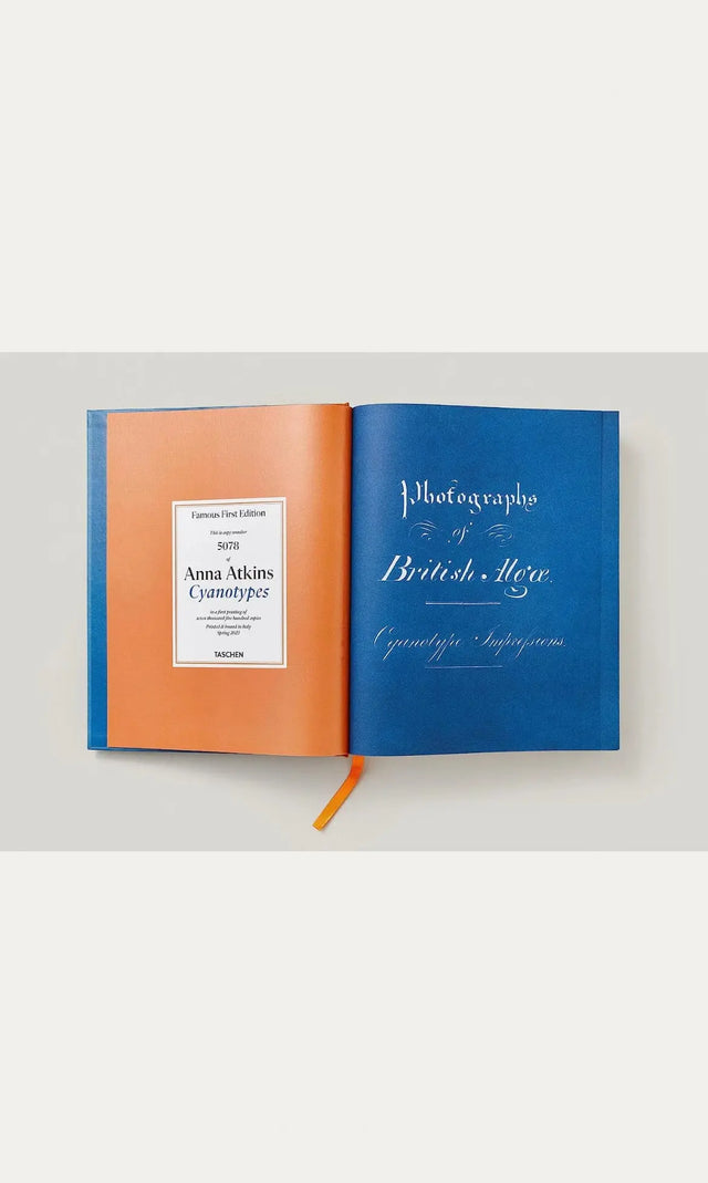 Anna Atkins - Cyanotypes - New Mags
