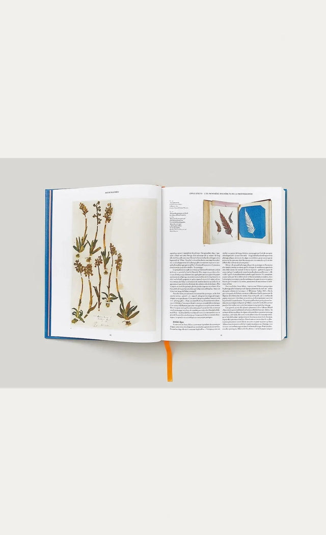 Anna Atkins - Cyanotypes - New Mags