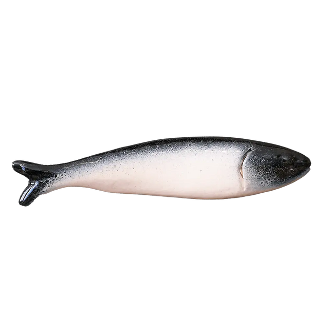 Blå vægfisk (højre) Champagne Pony Club