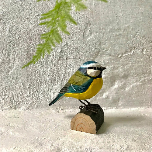 Blåmejse i træ Wildlife Garden.
Blåmejse i træ - Wildlife Garden