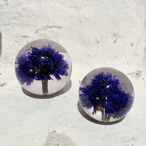 Brevvægt - kornblomst Hafod