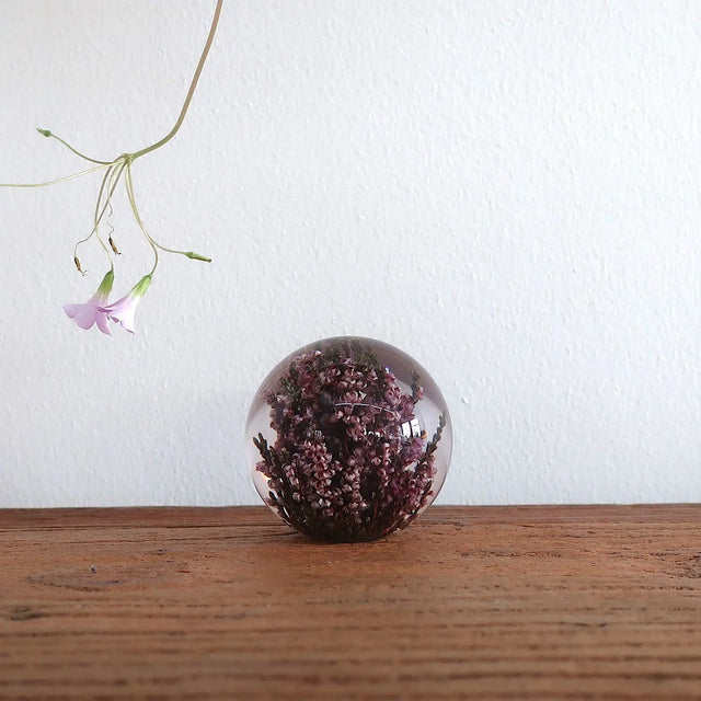 Brevvægt - lyng Hafod