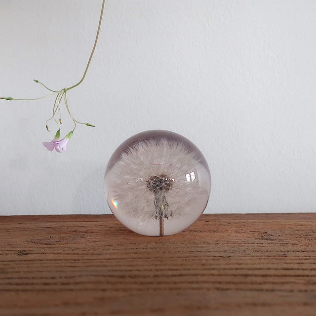 Brevvægt - mælkebøtte Hafod