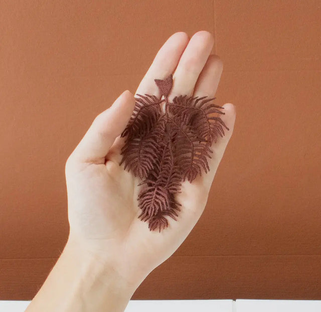 Broche - ridderbregne - Botanopia