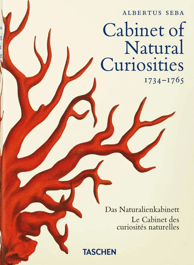 Cabinet of Natural Curiosities - New Mags