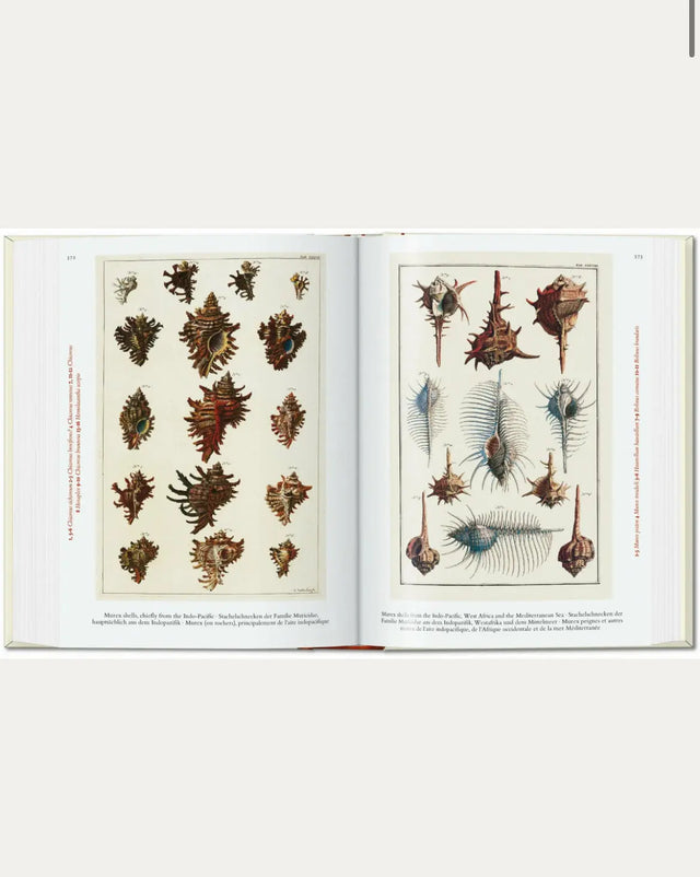 Cabinet of Natural Curiosities - New Mags
