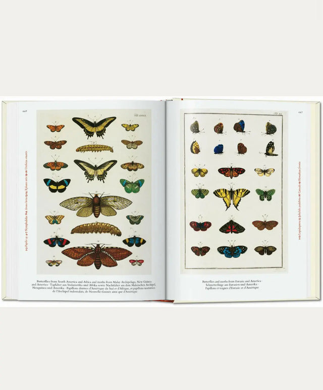 Cabinet of Natural Curiosities - New Mags