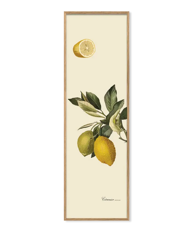 Citron (20 x 60 cm) - The Dybdahl Co.