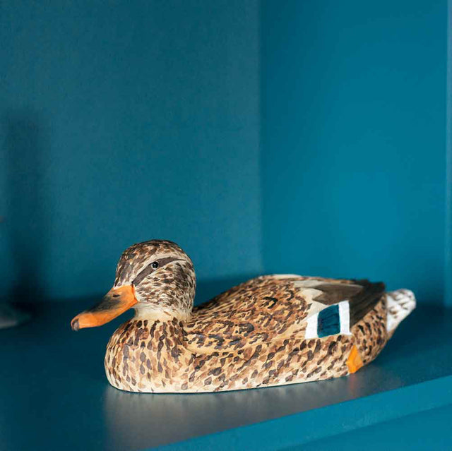 Gråand (hun) i træ - Wildlife Garden