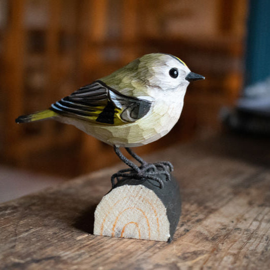 Fuglekonge i træ - Wildlife Garden.Fuglekongen er den mindste fugl i Danmark og samtidig også let at kende på den flotte gule stribe den har på hovedet. Når hannen bliver ophidset, vil man til og med kunne se en orange stribe inde i den gule.