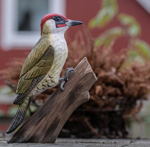 Grænspætte i træ - Wildlife Garden