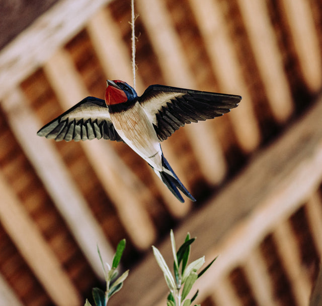 Flyvende svale - Wildlife Garden