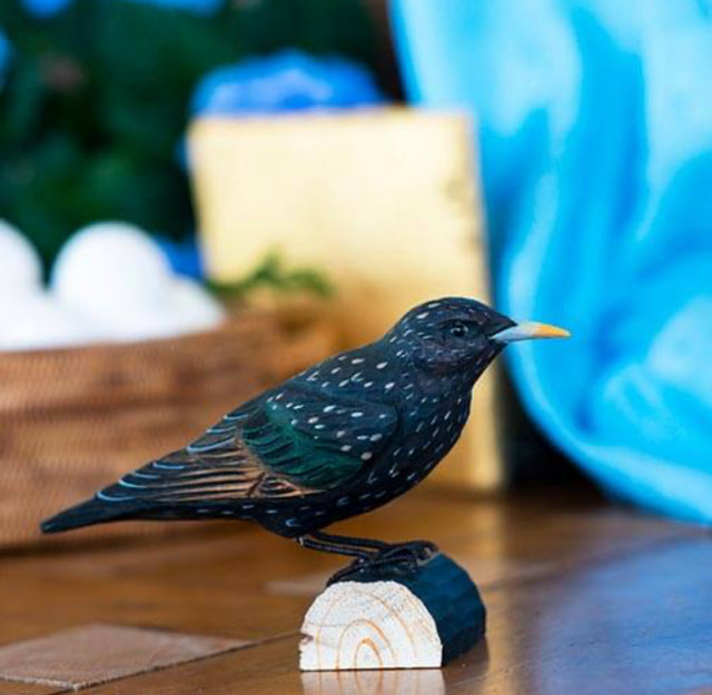 Stær i træ - Wildlife Garden