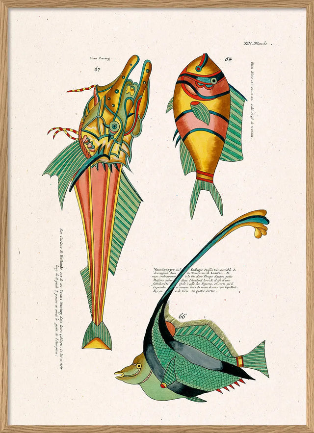 Giftige fisk The Dybdahl Co.