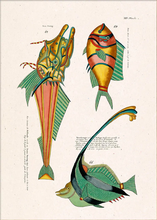 Giftige fisk The Dybdahl Co.