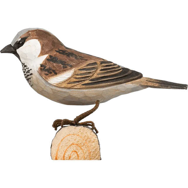 Gråspurv i træ Wildlife Garden. Hannen har gråt hoved, et brunt bånd gennem øjnene og en sort under hagen. Hannens næb skifter i farve efter sæsonen, så det er sort i yngletiden og gult om vinteren. Hunnens fjerdragt er ensfarvet grå- og brunstribet.