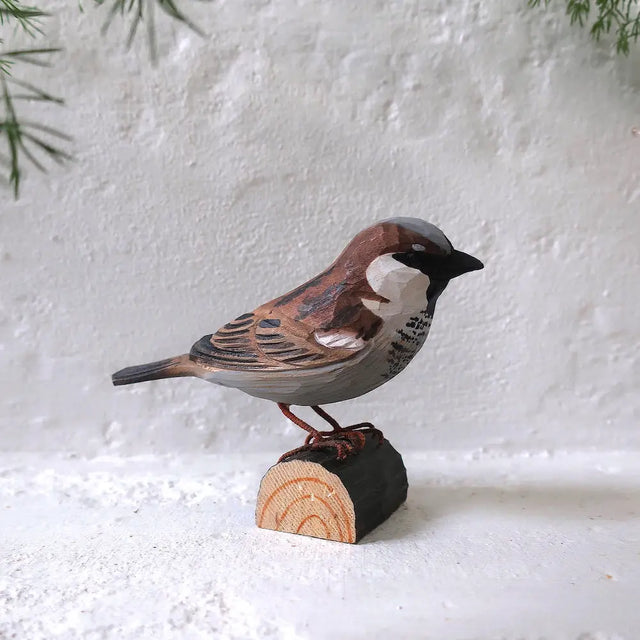 Gråspurv i træ Wildlife Garden. Hannen har gråt hoved, et brunt bånd gennem øjnene og en sort under hagen. Hannens næb skifter i farve efter sæsonen, så det er sort i yngletiden og gult om vinteren. Hunnens fjerdragt er ensfarvet grå- og brunstribet.