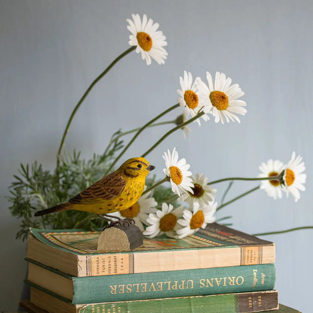 Gulspurv - træfugl (lille) - Wildlife Garden - Wildlife Garden