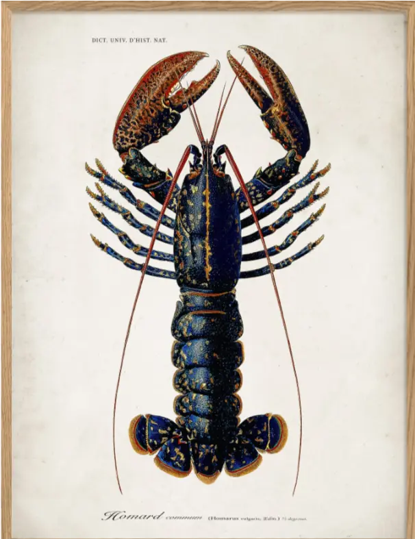 Hummer The Dybdahl Co.