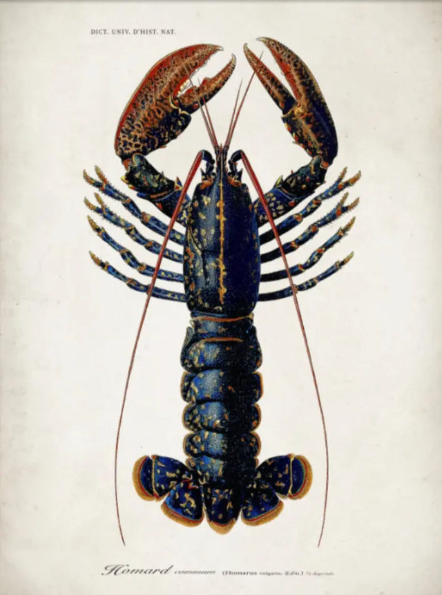 Hummer The Dybdahl Co.