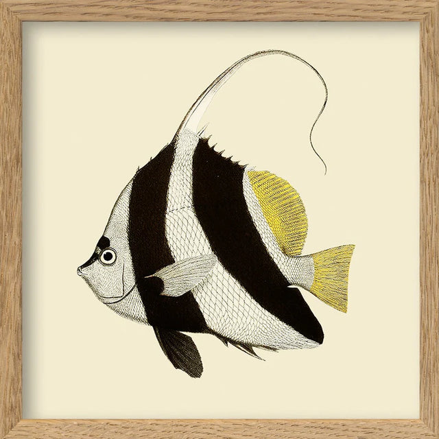 Sort og hvid fisk - mini - The Dybdahl Co.