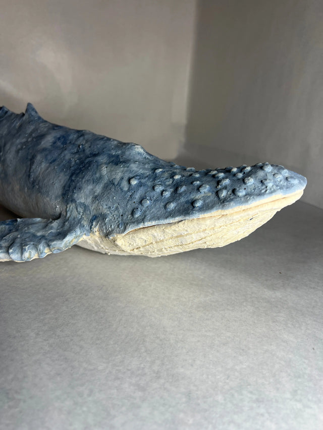 Keramik pukkelhval 04