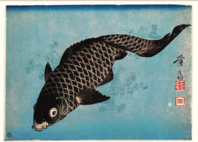 Koi love - Fisk The Dybdahl Co.