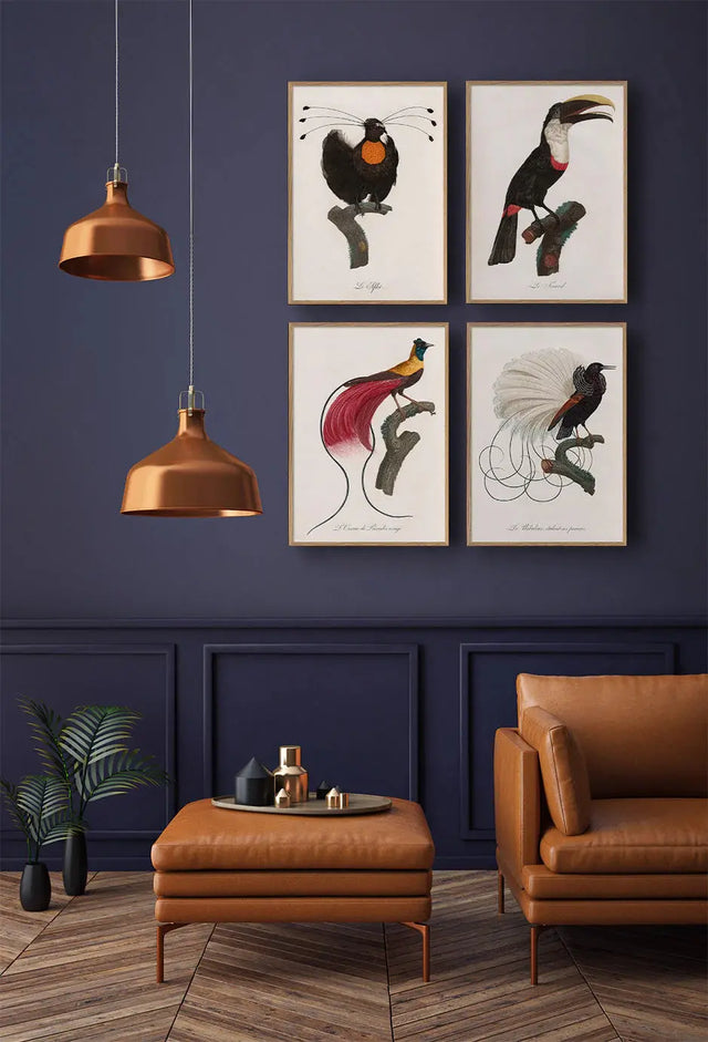 Le Sifilet - paradisfugl - kunstprint - The Dybdahl Co.