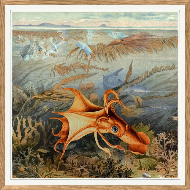 Octopus The Dybdahl Co.