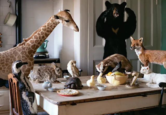 Puslespil - Køkkenfest kylskåpspoesi