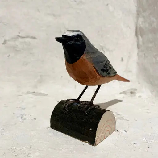 Rødstjert i træ Wildlife Garden