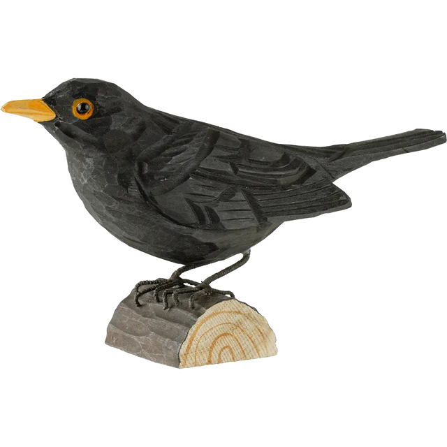 Solsort i træ Wildlife Garden. Solsorten er en af ponyklubbens yndlings havefugle. Hannen i diskret sort fjerdragt med gult næb, men med den smukkeste melodiske sang. Derudover kan den efterligne menneskeskabte lyde eller andre solsortes sang. Den kan bedst lide at spise regnorme, men om vinteren er den også en flittig aftager af nedfaldsæbler.