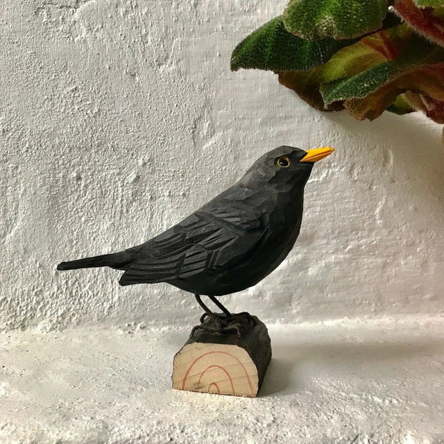 Solsort i træ Wildlife Garden.Solsorten er en af ponyklubbens yndlings havefugle. Hannen i diskret sort fjerdragt med gult næb, men med den smukkeste melodiske sang. Derudover kan den efterligne menneskeskabte lyde eller andre solsortes sang. Den kan bedst lide at spise regnorme, men om vinteren er den også en flittig aftager af nedfaldsæbler.