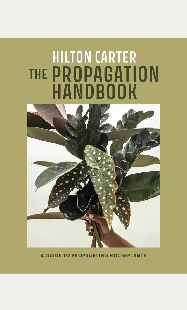The propagation handbook - New Mags
