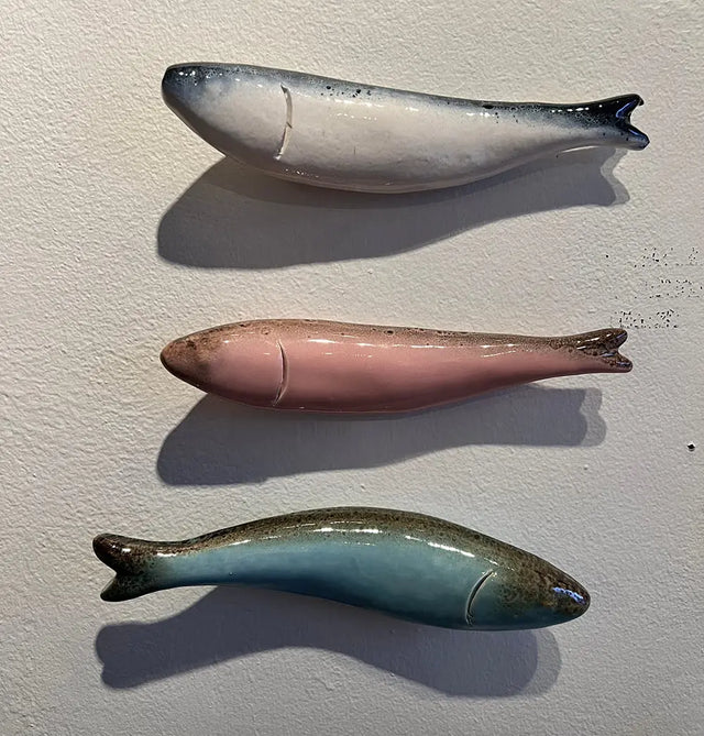 Turkis vægfisk - Champagne Pony Club