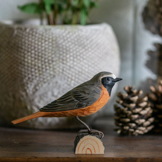 Rødstjert i træ - Wildlife Garden