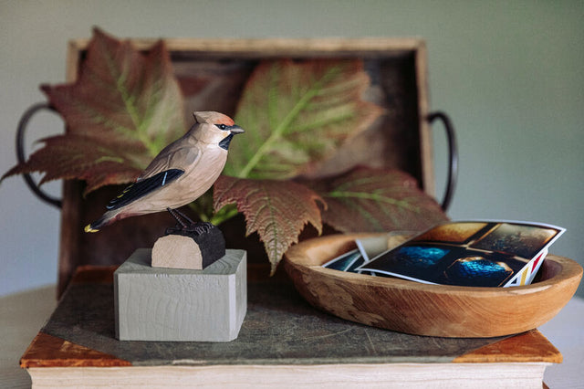 Silkehale i træ - Wildlife Garden