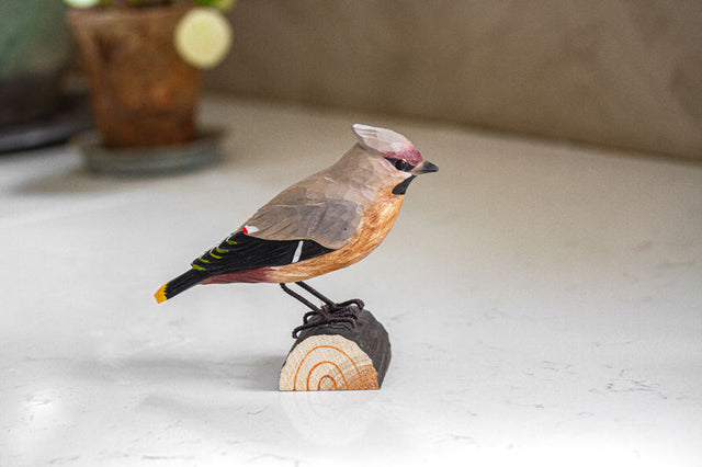 Silkehale i træ - Wildlife Garden