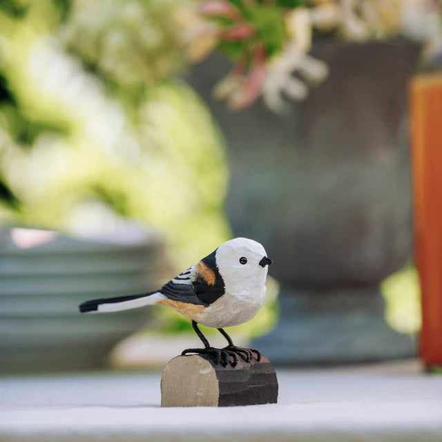 Halemejse - træfugl (lille) - Wildlife Garden