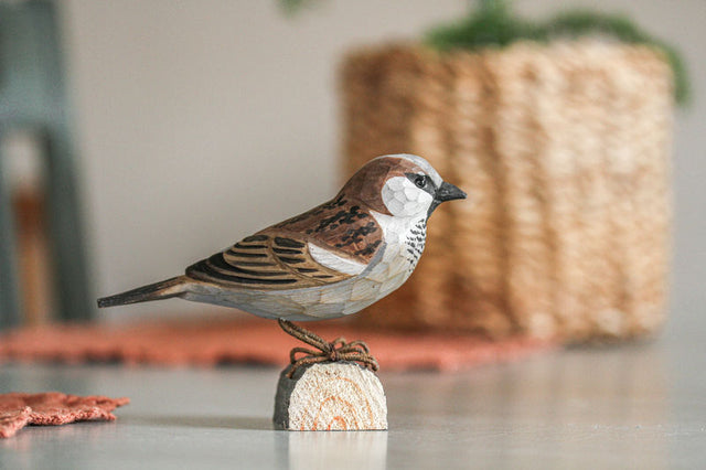 Gråspurv i træ - Wildlife Garden.Hannen har gråt hoved, et brunt bånd gennem øjnene og en sort under hagen. Hannens næb skifter i farve efter sæsonen, så det er sort i yngletiden og gult om vinteren. Hunnens fjerdragt er ensfarvet grå- og brunstribet.