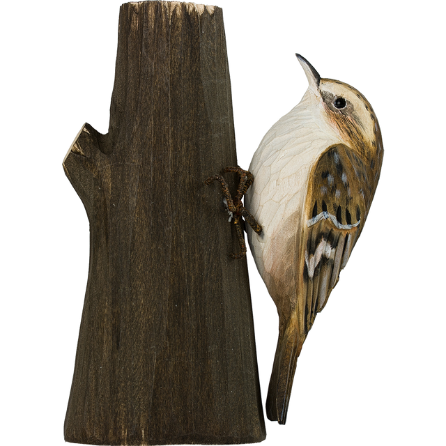 Træløber i træ - Wildlife Garden