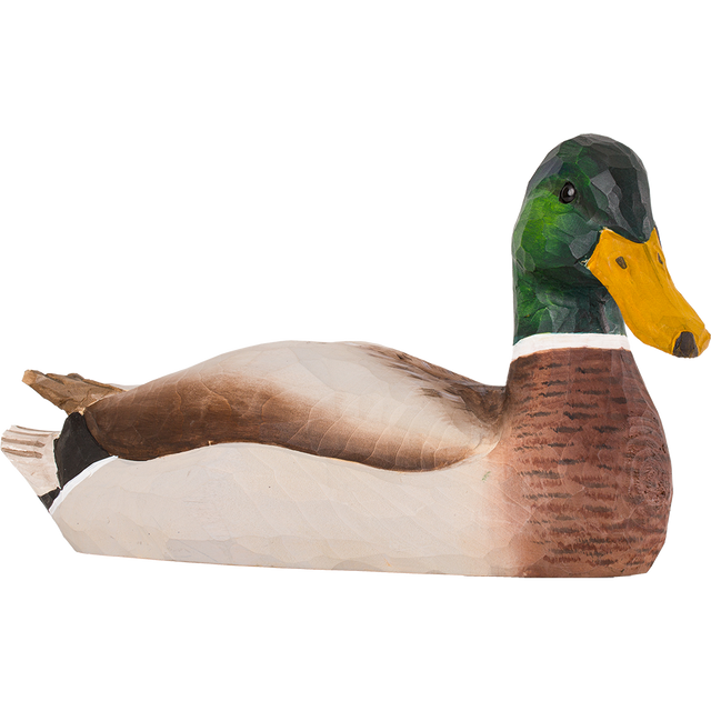 Gråand (han) i træ - Wildlife Garden