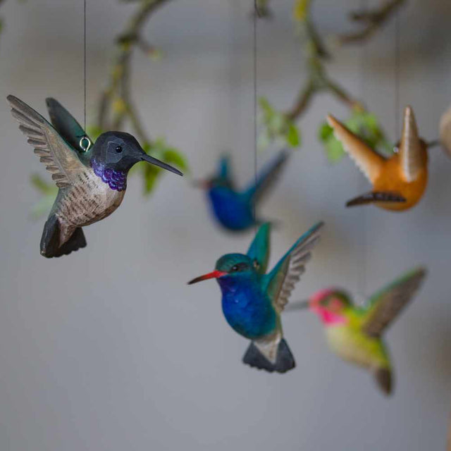 Flyvende kolibri (blå) - træfugl - Wildlife Garden
