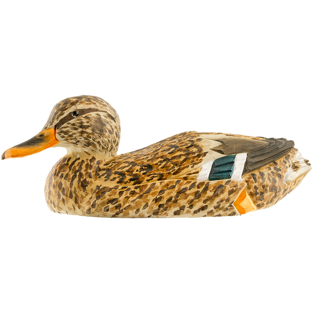 Gråand (hun) i træ - Wildlife Garden