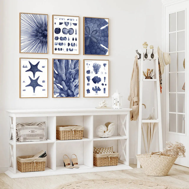 Blå søstjerne - kunstprint - The Dybdahl Co.