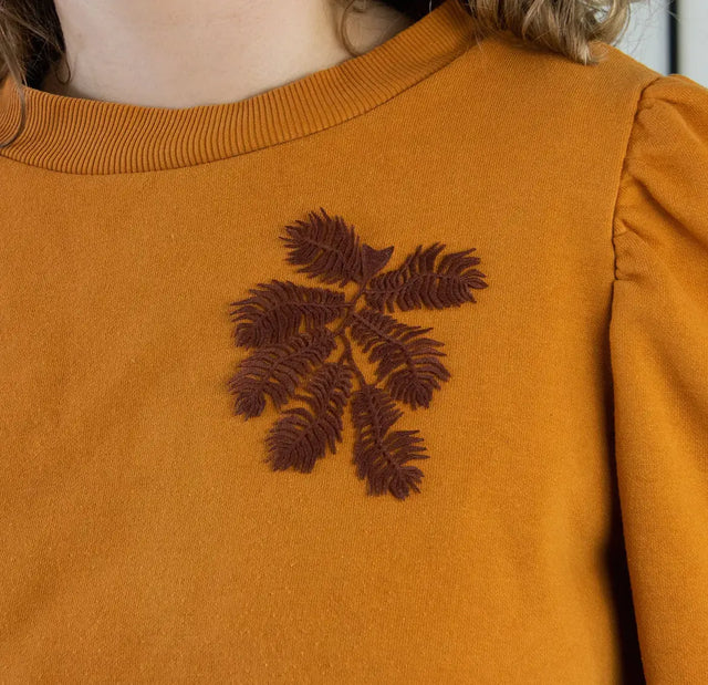 Broche - ridderbregne