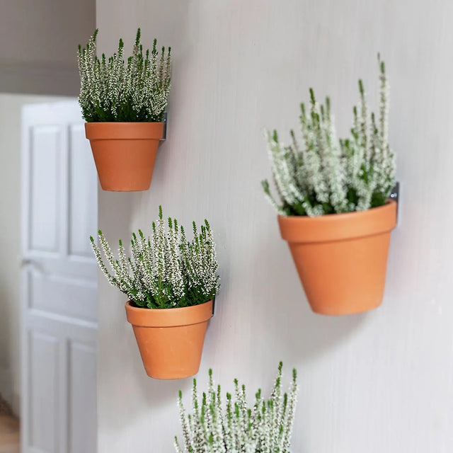 Clippy - et vægbeslag til urtepotter - Botanopia