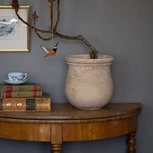 Flyvende rødstjert - træfugl - Wildlife Garden - Wildlife Garden