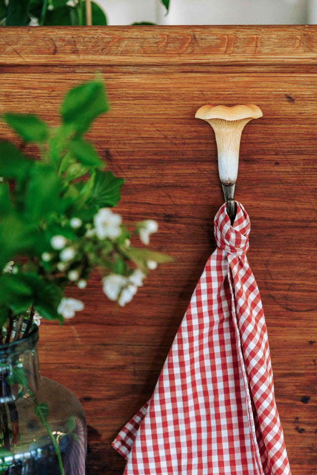 Knage - kantarel fra Wildlife Garden - Wildlife Garden